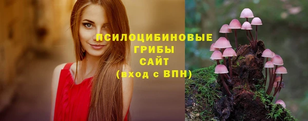 марки nbome Богородицк