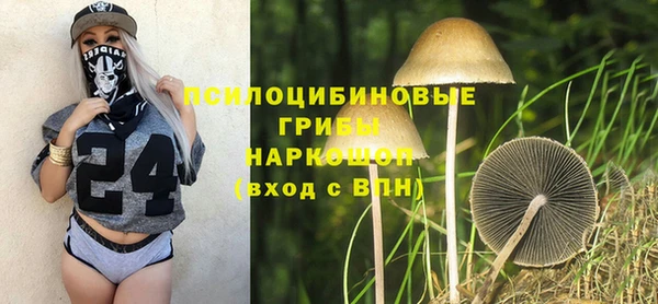марки nbome Богородицк
