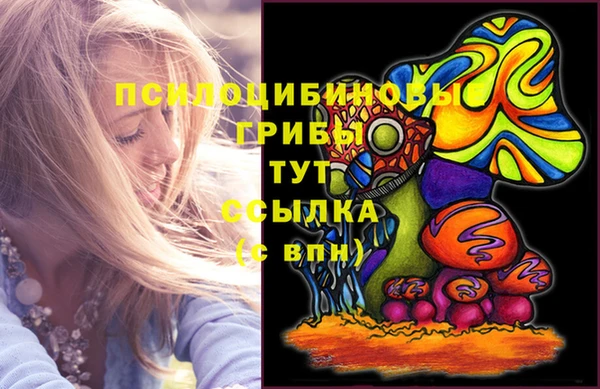 марки nbome Богородицк