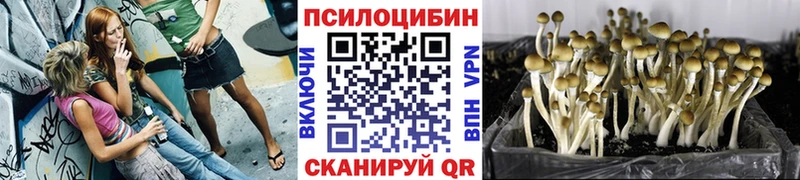 Псилоцибиновые грибы прущие грибы  Сковородино 