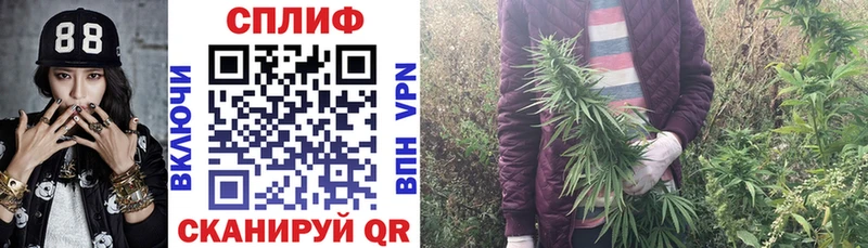 Бошки марихуана план  магазин продажи   MEGA сайт  Сковородино 